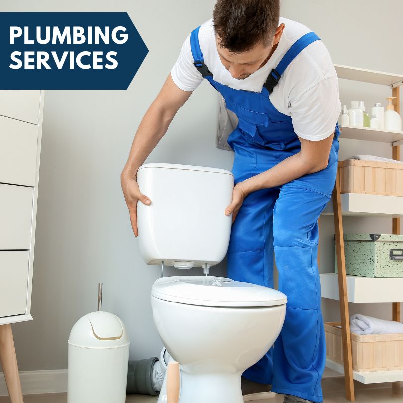 Plumbing Company in Newman, CA